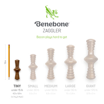 Tiny 2 - Pack Maplestick/Zaggler Bacon